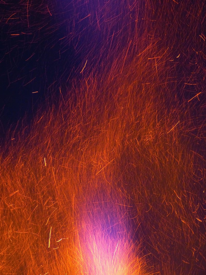 Phoenix Nest